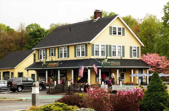 Carlisle MA Ferns Country Store in the Center of-Carlisle