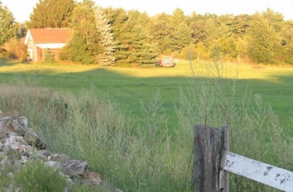 Dracut MA Farmland Along Route 113 Broadway Road