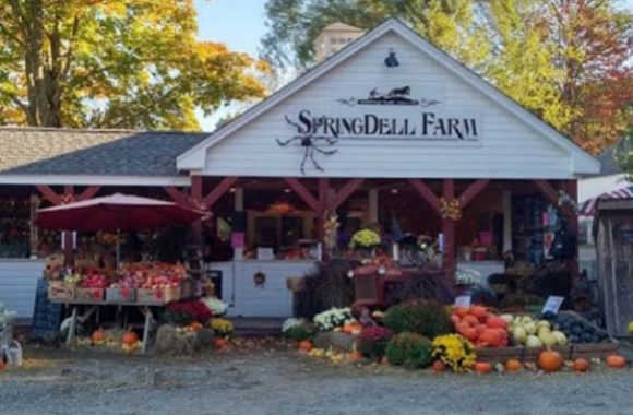 Littleton MA Front View SpringDell Farm Stand