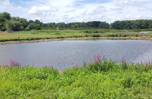 North Andover MA Smolak Farms Pond