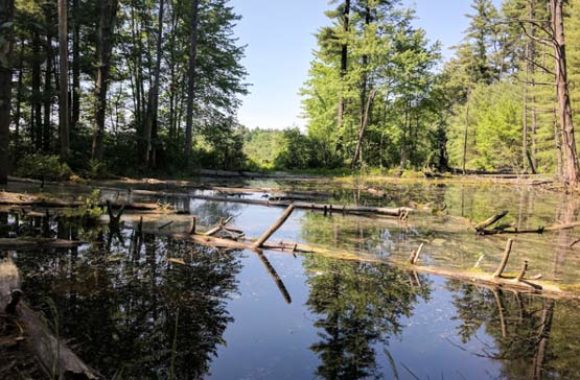 Pepperell MA Lovewell Pond Yudicky Farm